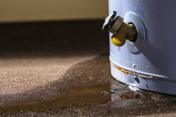 Best Flood restoration services  in Puyallup, WA