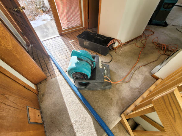 Best Water damage restoration specialists  in Puyallup, WA