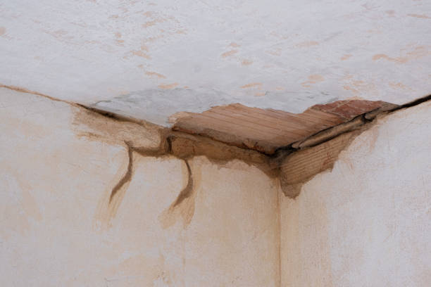 Best 24-hour water damage restoration  in Puyallup, WA
