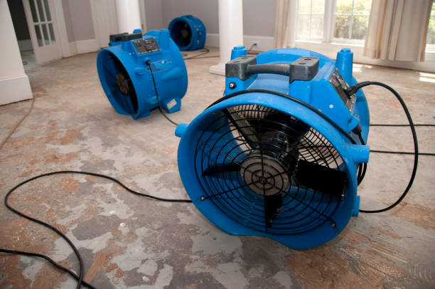 Water damage restoration insurance claims in Puyallup, WA