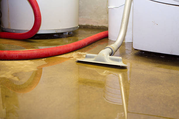 Best Flooded house restoration  in Puyallup, WA
