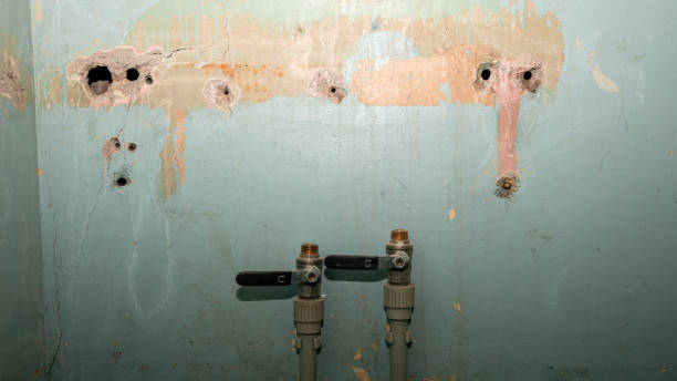 Best Basement water damage restoration  in Puyallup, WA