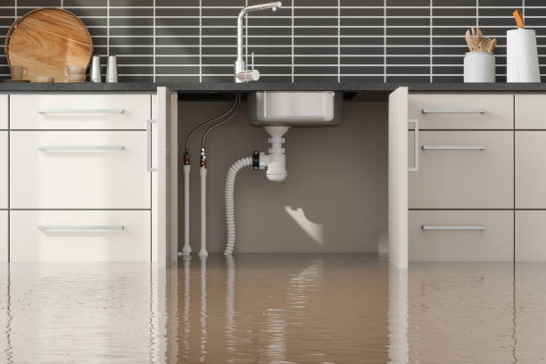 Best Sewage cleanup and water damage restoration  in Puyallup, WA